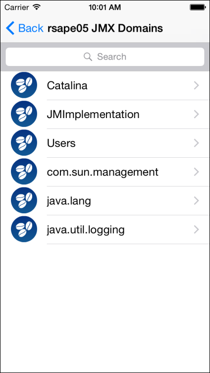JMX Domains
